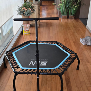 미니 트램폴린 놀이기구