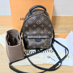 루이비통 팜 스프링스 미니 백팩(M44873)