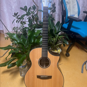 HEX FX450C G 통기타 어쿠스틱기타