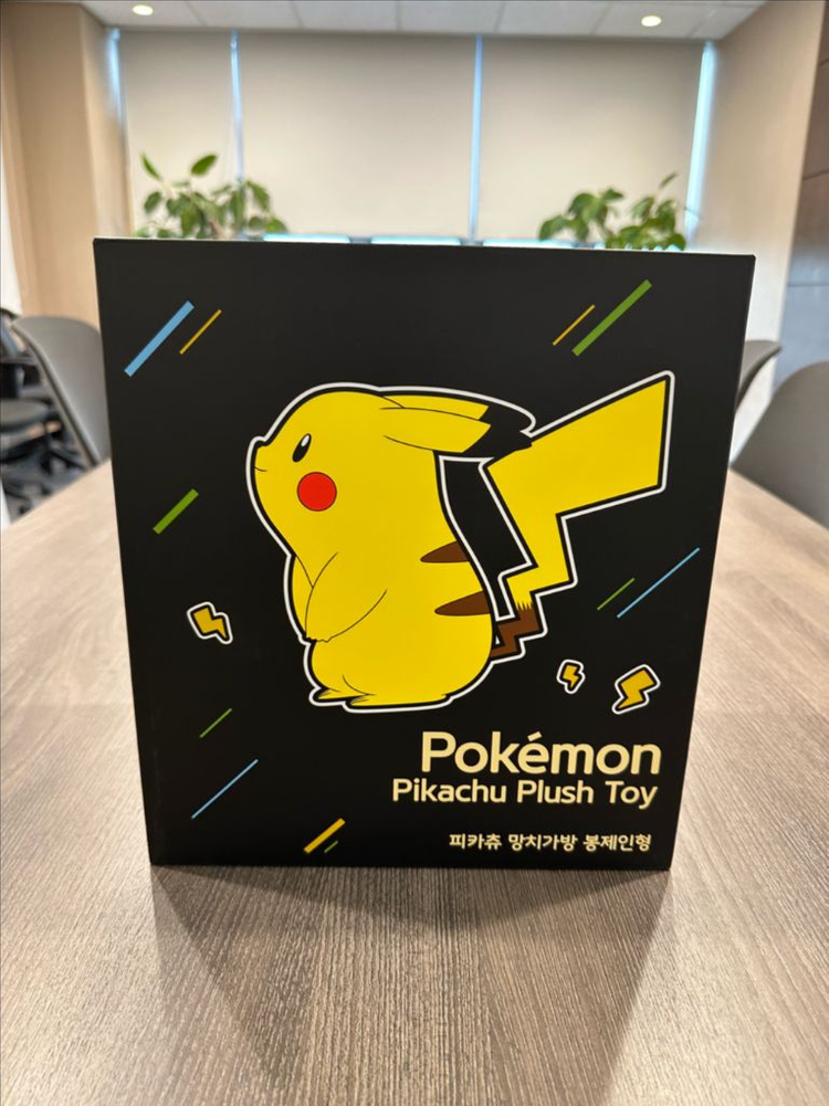 피카츄봉제인형--3