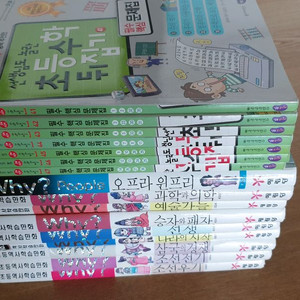 초등수학뒤집기필수문제/와이 역사