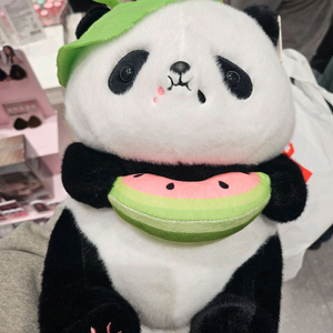 드레곤퀘스트11s