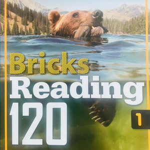 영어 교재 Read it, Bricks Reading 판매 합니다.