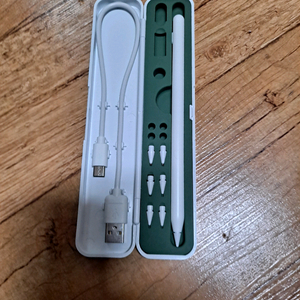 DSM 아이패드 호환 애플펜슬