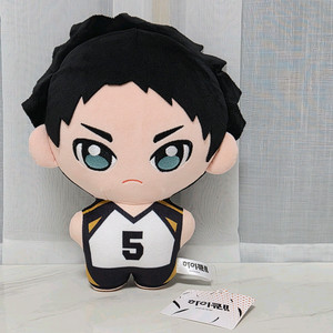 하이큐 아카아시 케이지 중형인형 판매합니다