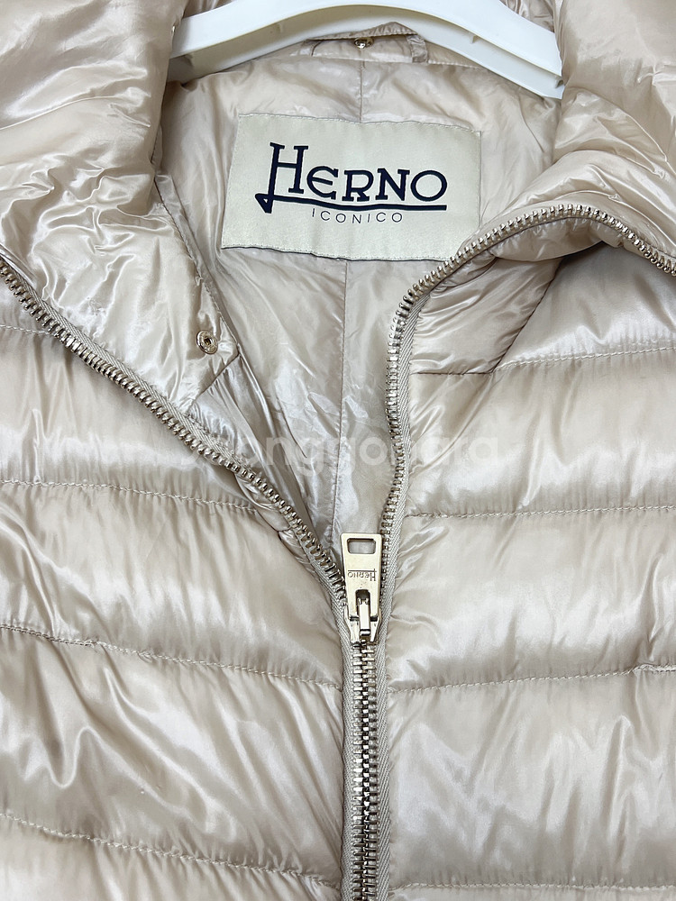 에르노 여성 패딩--6