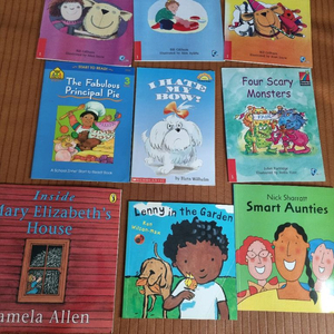 유아 원서 영어원서 그림책 참고서적