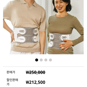 Disk Dr. WG50 G2-M 공기주입식 허리보호대 벨트