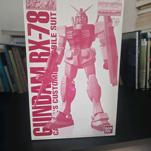 퍼스트건담 mg 카스발 크롬 코팅버젼