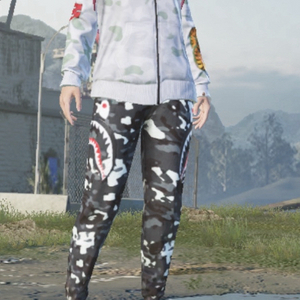 모배 베이프 상하의 계 삽니다 이미지