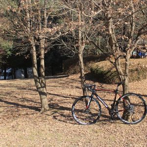 메리다 사이클로크로스 700 S/M(52) 디스크 울테그라 6800