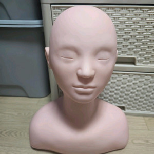 시험준비용 데콜테 마네킹