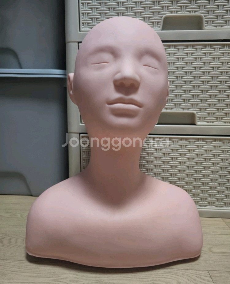 시험준비용 데콜테 마네킹--1