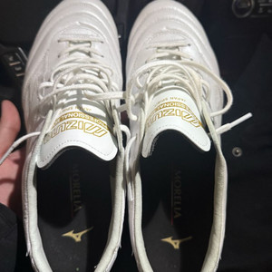 모렐리아 4주년에디션 280판매합니다