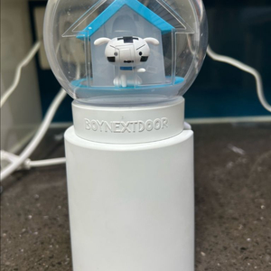 보이넥스트도어 응원봉 이미지