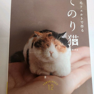 양모펠트 고양이 이미지