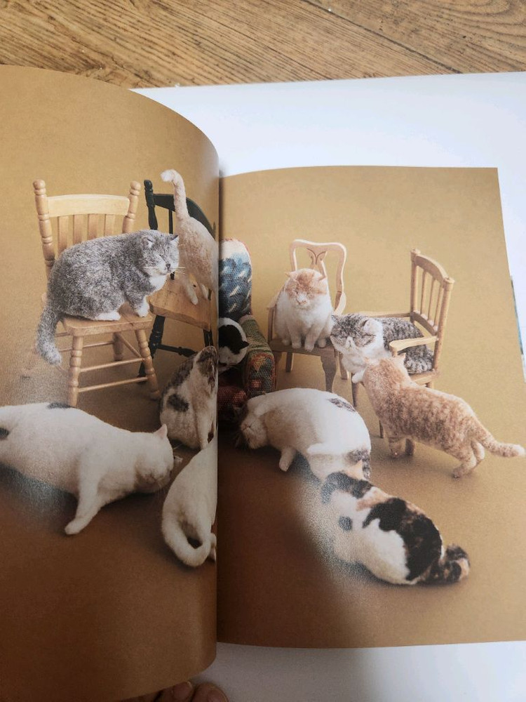 양모펠트 고양이 이미지