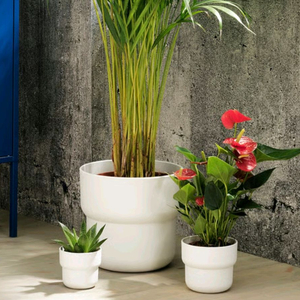 FRENLIG 푀렌리그 화분 8종