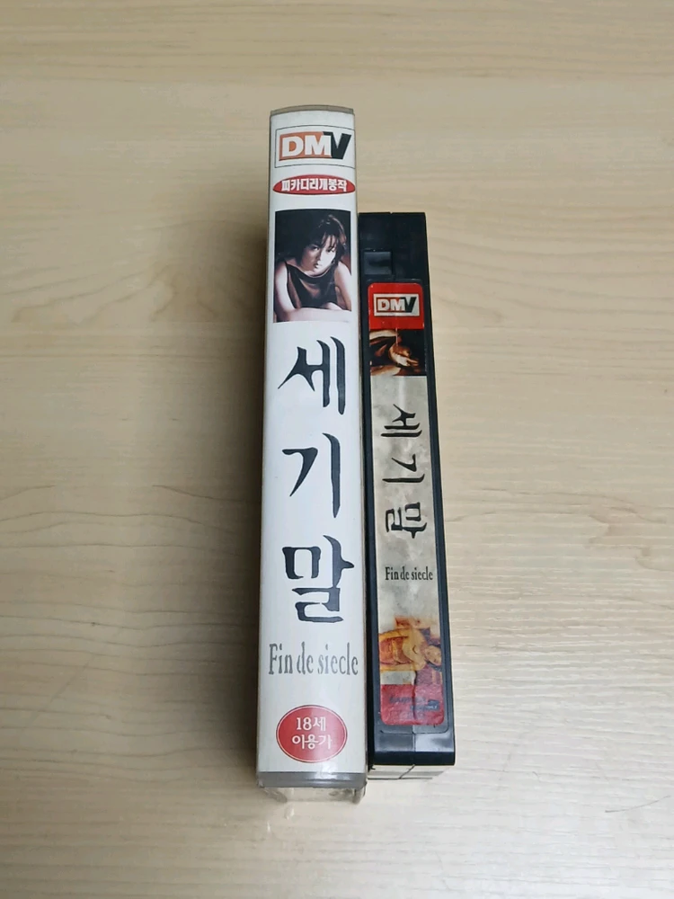 송능한 감독 신해철 음악 문제작 이재은 차승원 주연 세기말 비디오 테이프 이미지