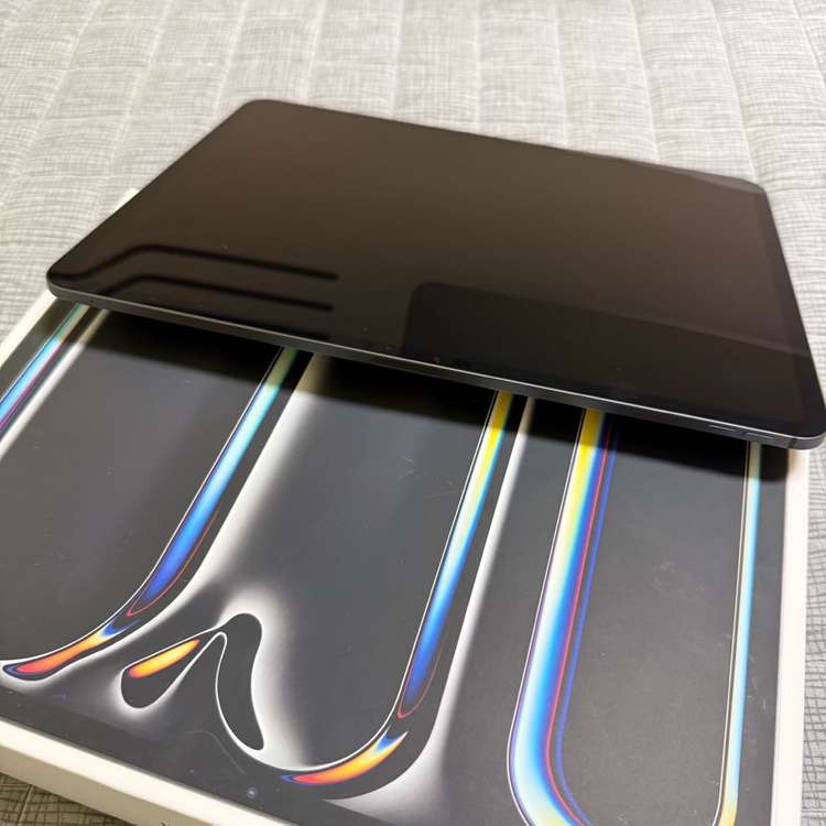 아이패드프로 13 m4 256--10