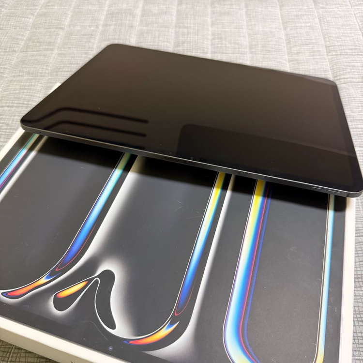 아이패드프로 13 m4 256--1