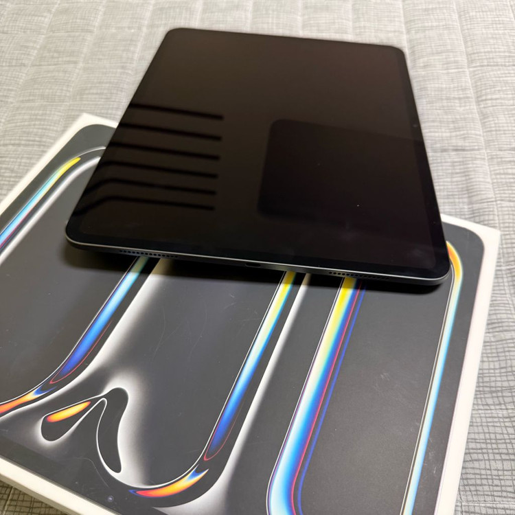 아이패드프로 13 m4 256--4