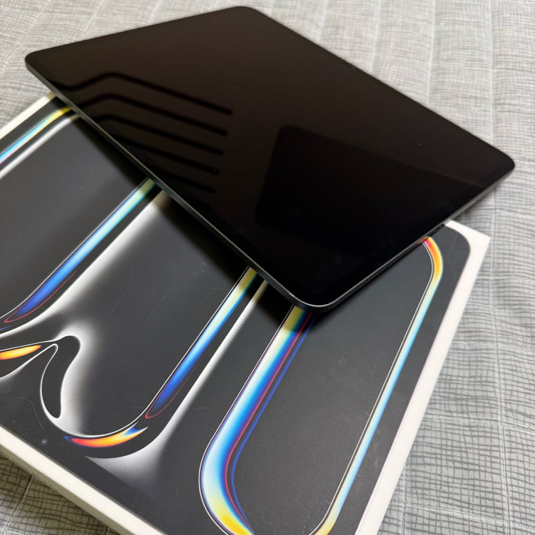 아이패드프로 13 m4 256--5