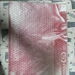 rg 사자비 컬러 클리어