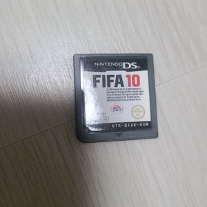 DS 피파 10 이미지