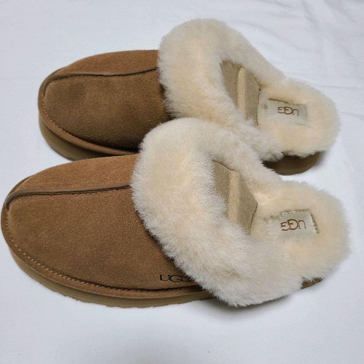 어그 디스케트 슬리퍼 체스트넛 이미지