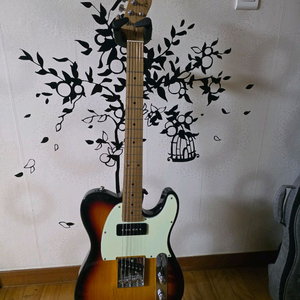 바커스 BTE-2 RSM/M 텔레