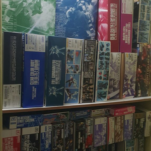 PG, MG, RE/100, RG, HG 건프라, 프라모델 판매합니다