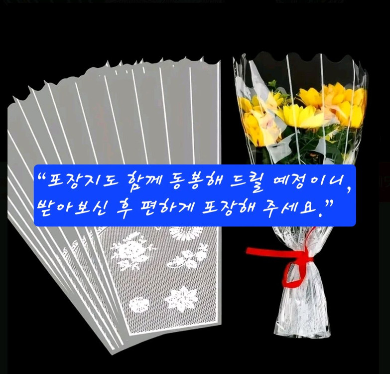 노란 장미. 분위기 살리는 화사한 꽃--4