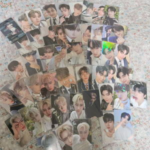 급처)제베원 포카 일괄세트 판매 이미지