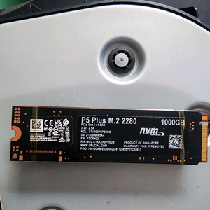 크루셜 P5 PLUS M.2 NVMe SSD 1TB