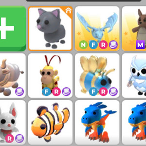 입양하세요 펫 팝니다 이미지