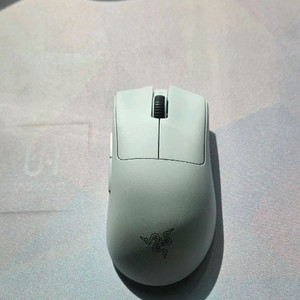 레이저 데브삼 화이트