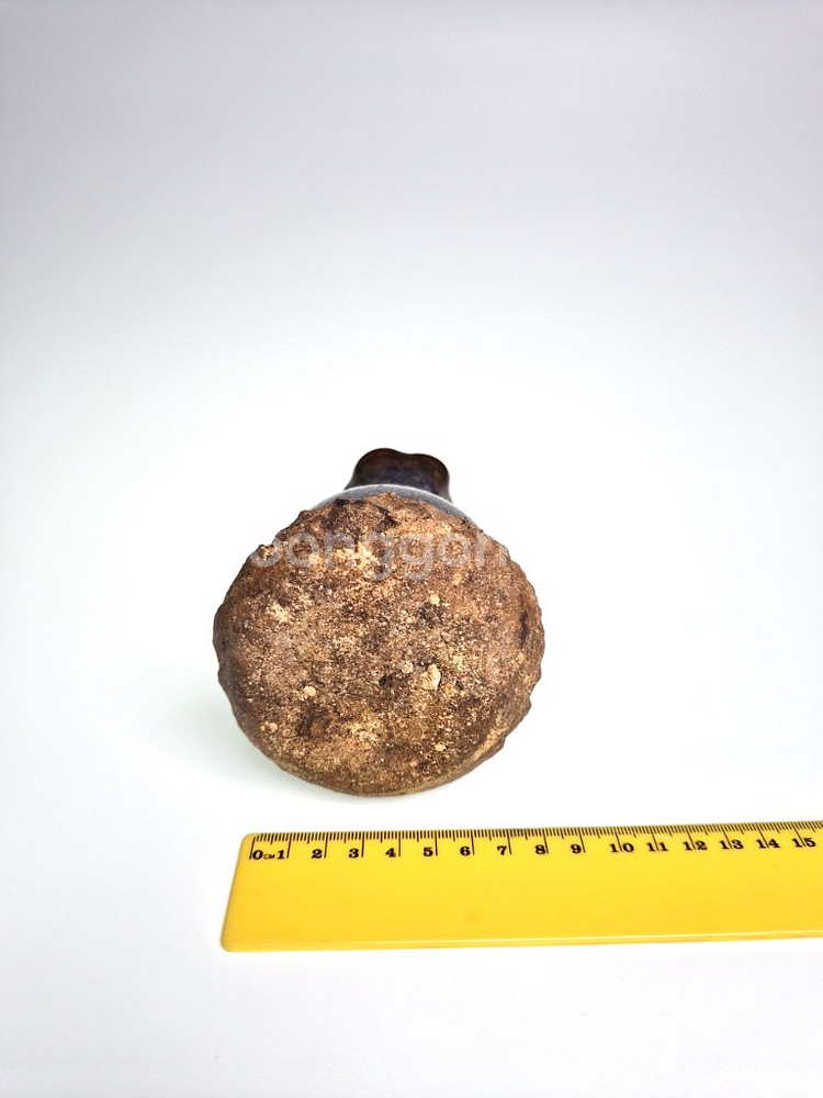 연대감 높은 송대 군요 자채유 호형 화병 중국도자기 수집품 골동품--7