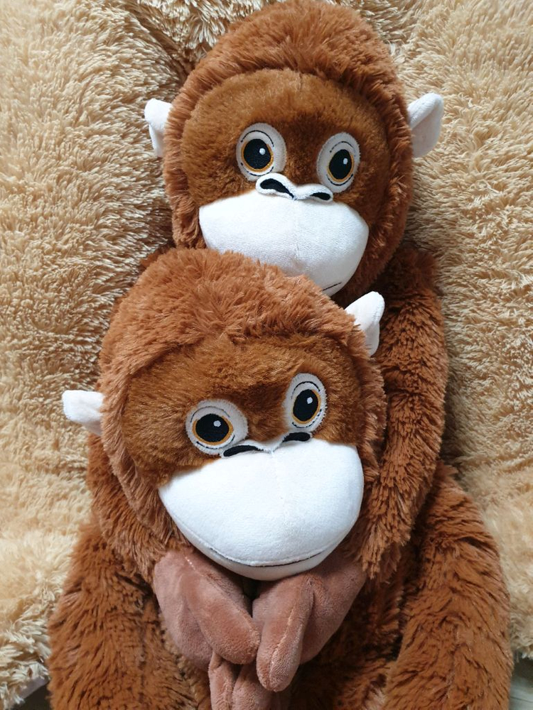 대형곰돌이인형1.6m+오랑우탄 우탄이 115cm 인형2개--8