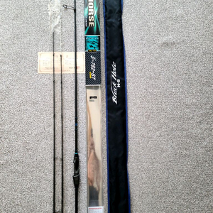 NS 블랙홀 다크호스 호치 투탑