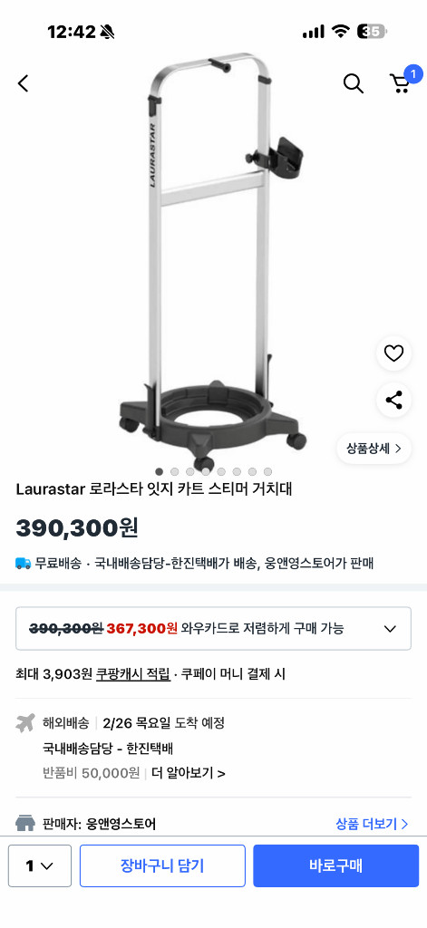 로라스타 스팀다리미--1