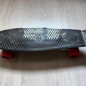 크루저 스케이트보드
