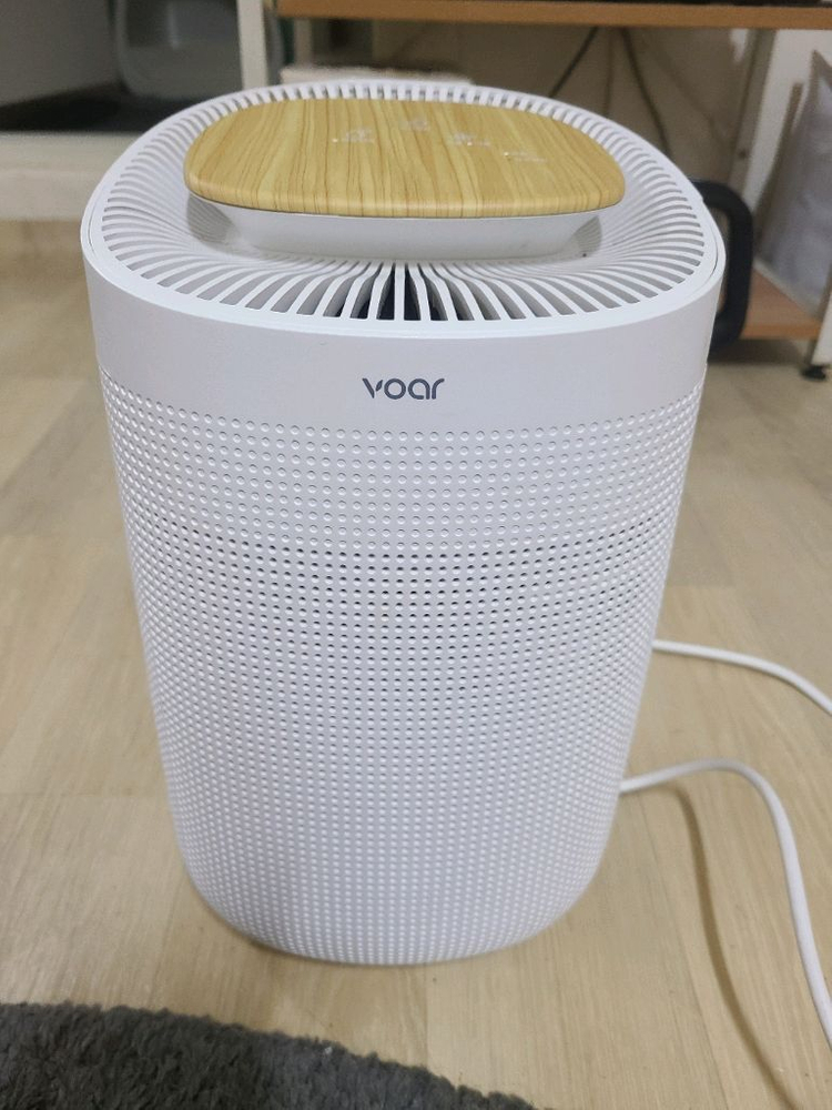 보아르 모아 제습기 + 공기청정기 M1000--1