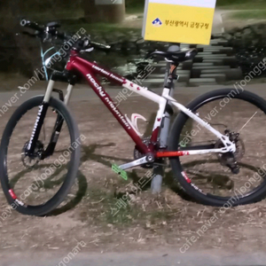 록키마운틴자잔거