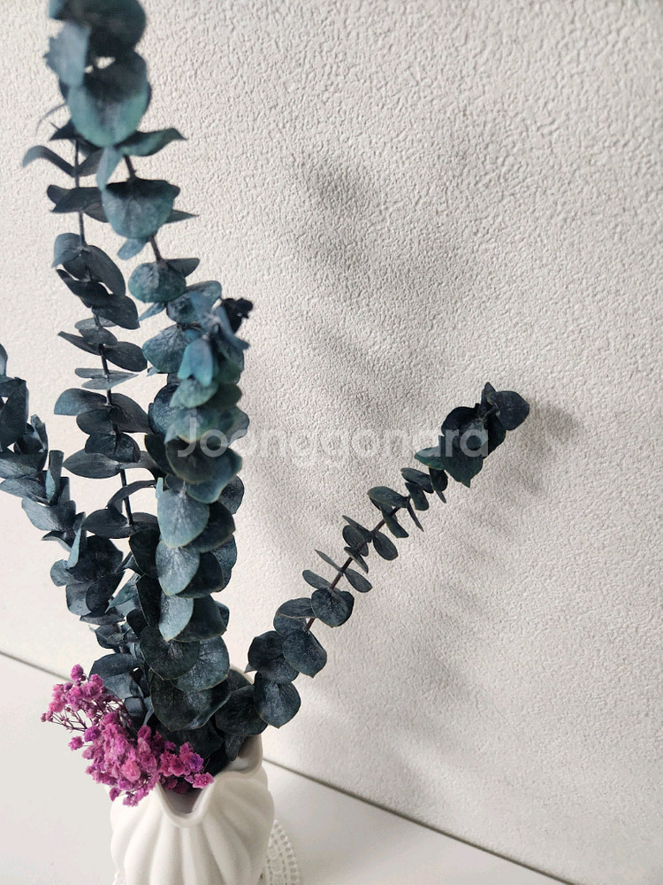 새상품)생화 프리저브드플라워 유칼립투스 고급도자기화병 조화 아님--1