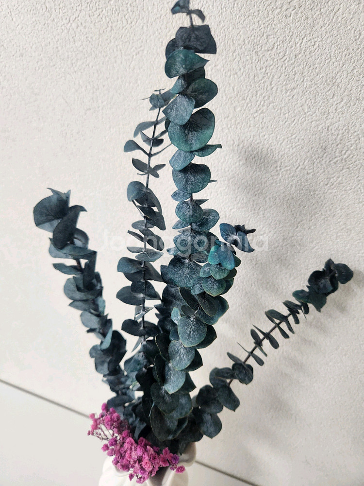 새상품)생화 프리저브드플라워 유칼립투스 고급도자기화병 조화 아님--6