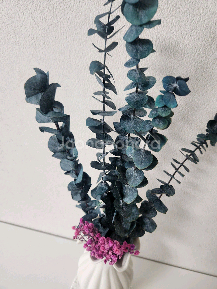 새상품)생화 프리저브드플라워 유칼립투스 고급도자기화병 조화 아님--7