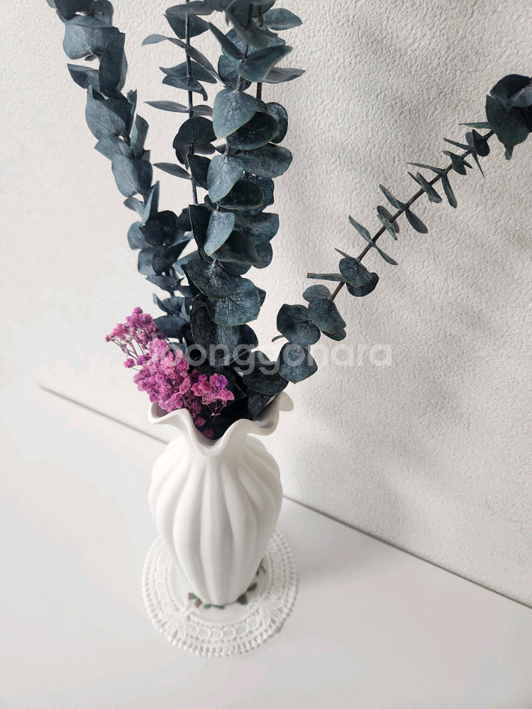 새상품)생화 프리저브드플라워 유칼립투스 고급도자기화병 조화 아님--8