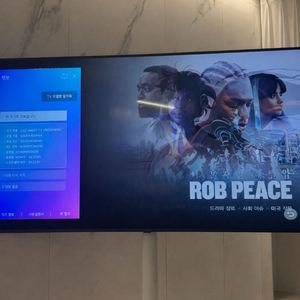 LG 울트라 HD TV 65인치 모델(65UR9300KNA)