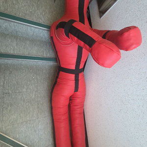 주짓수 더미 170cm 60kg 판매합니다